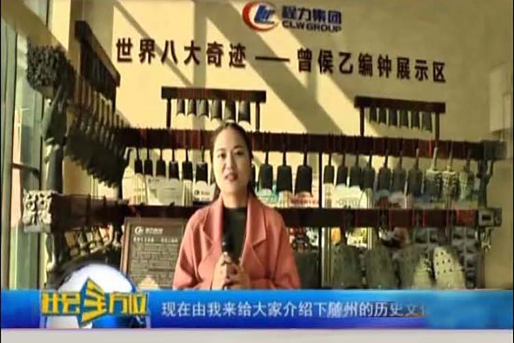 《魅力中國城》復(fù)賽--我隨市長上央視程力戰(zhàn)隊(duì)展